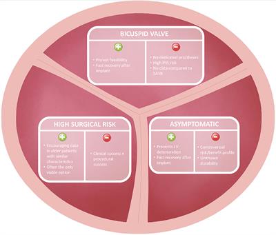 Transcatheter Aortic Valve Replacement in Young Low-Risk Patients With Severe Aortic Stenosis: A Review